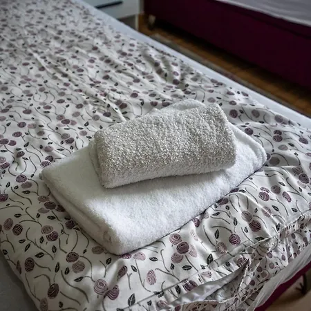 Apartment Ilidza Garden Escape *